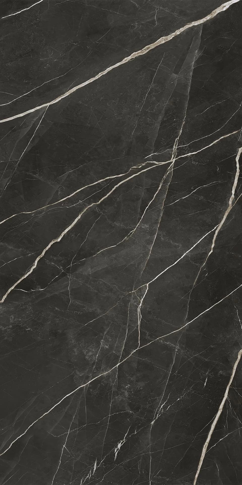 Calacatta Black