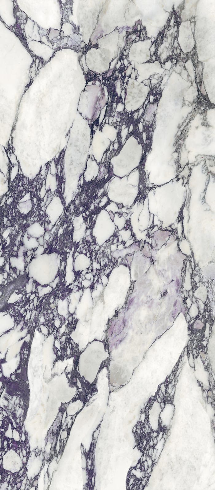 Calacatta Viola
